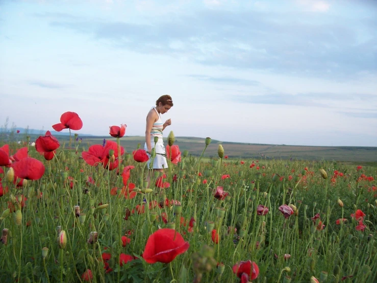 woman in a field with red flowers blowing on a kite