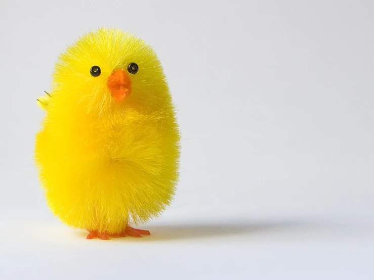 a small yellow fuzzy chicken is standing upright