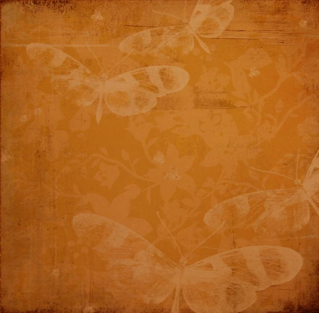 an orange wall has floral and erflies on it