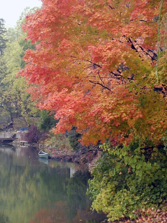 a boat traveling down a river surrounded by fall foliage