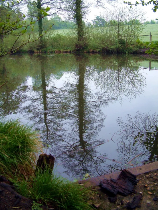 a lake surrounded by trees and green grass