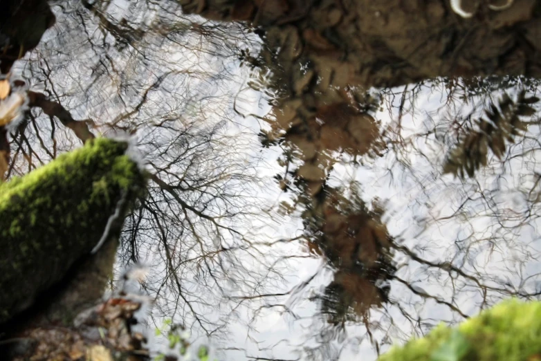 reflection of trees in water next to rocks