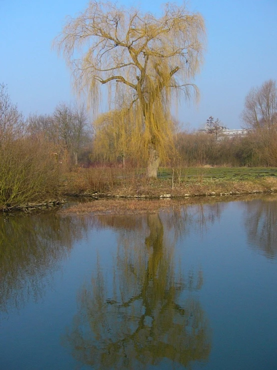 the water in the lake is calm and peaceful