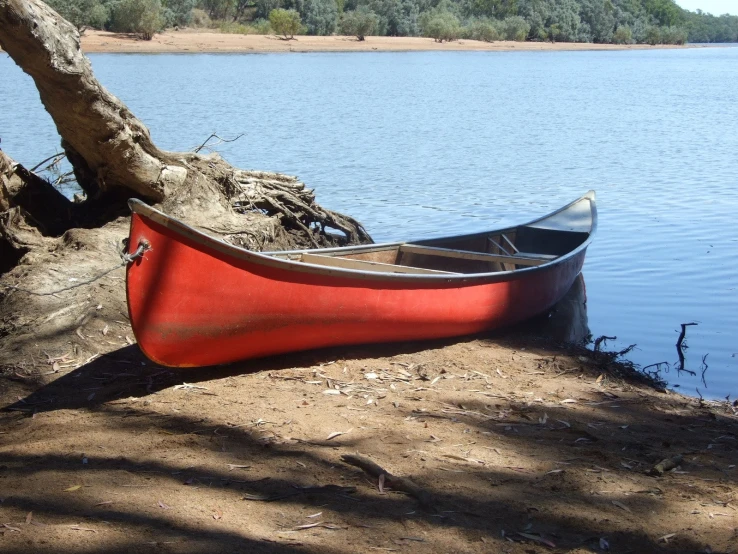 a boat on the shore with trees around it