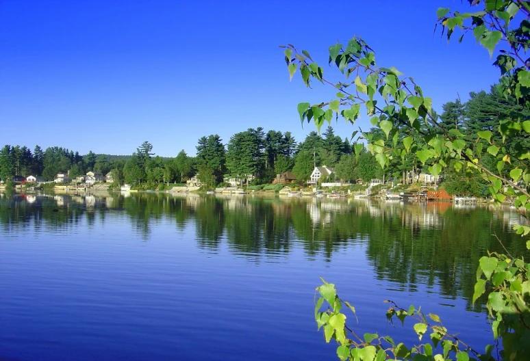 a lake with green trees and a building near by