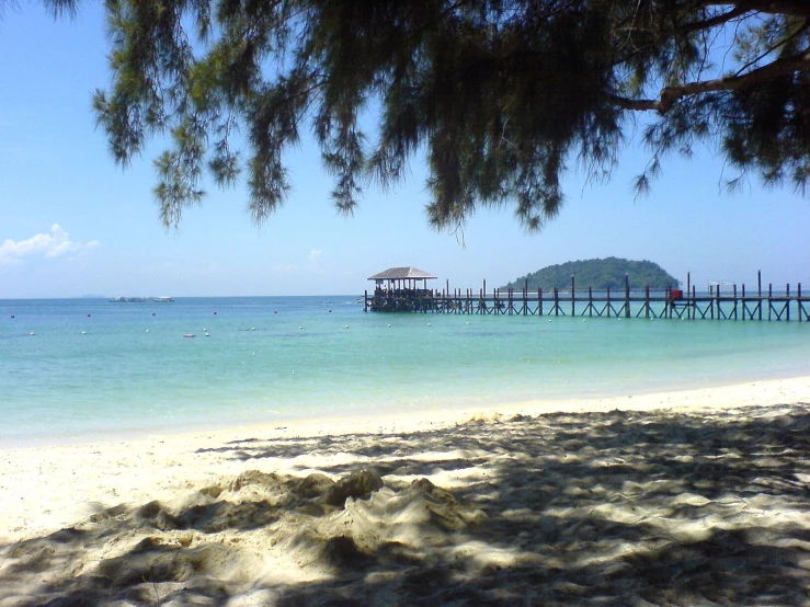 a beach with people standing under a tree next to the water