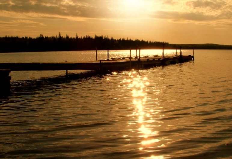 a body of water with a bunch of canoes on it