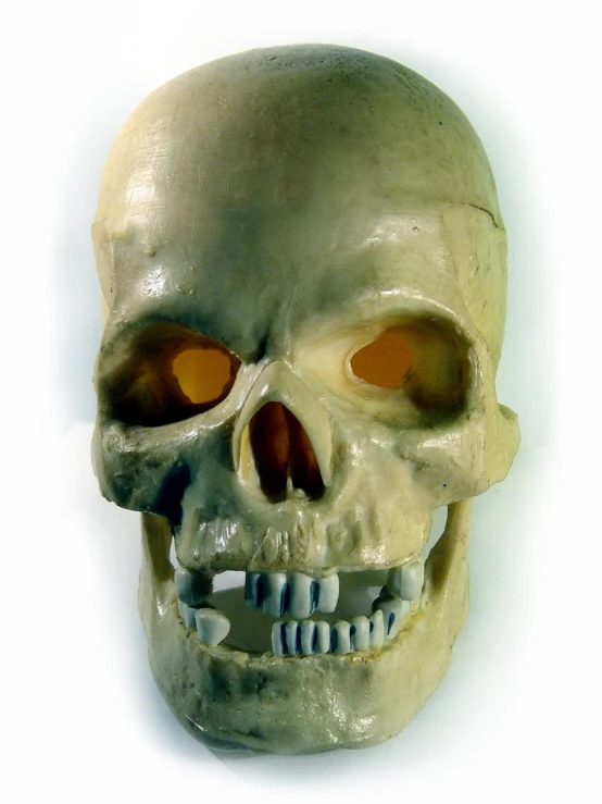 a fake human skull with two teeth and large eye