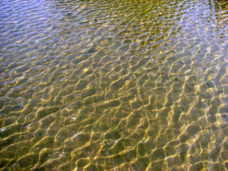 ripples and circles on the water of a river