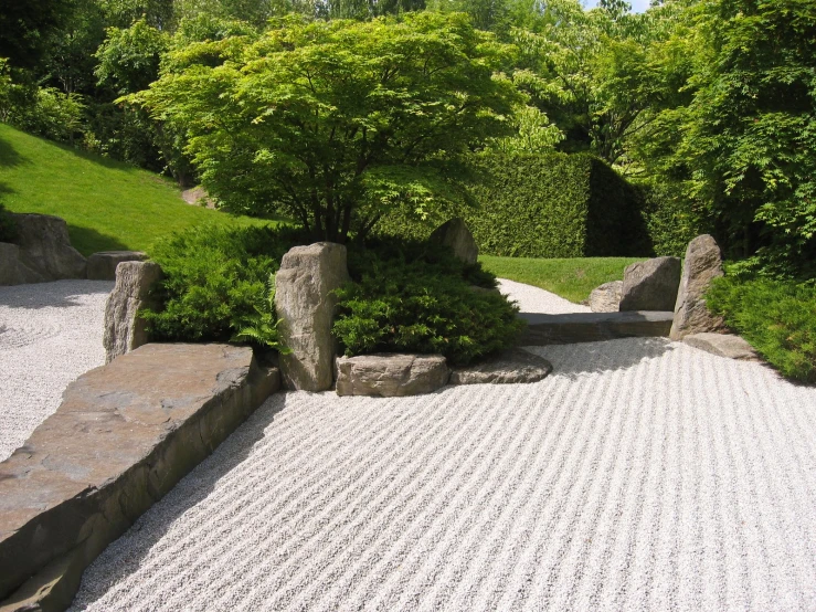 a garden area with green trees and rocks