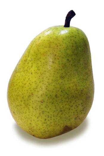 a green pear sits against a white background