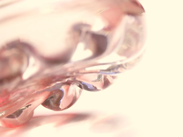 a close up s of a glass vase with flowers on it