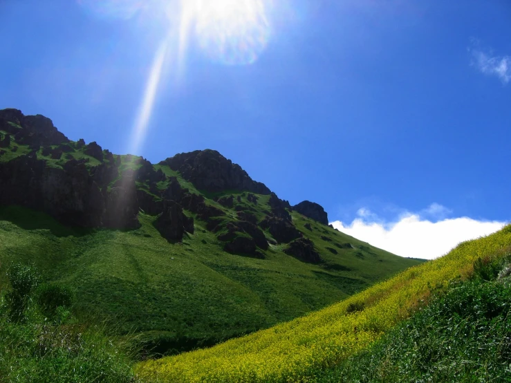 the sun peeking through a cloudless blue sky is shining on a lush green landscape