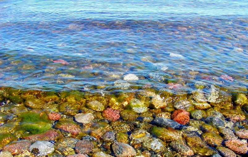 a rocky shoreline with various rocks and water