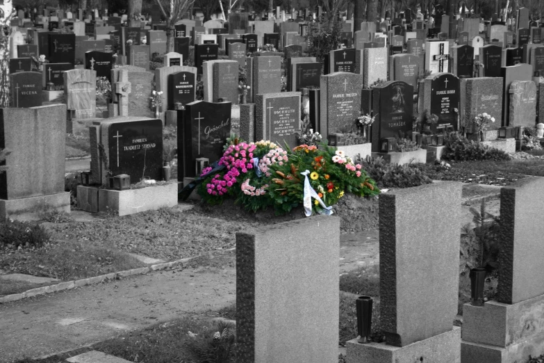 a bunch of headstones with flowers on each one