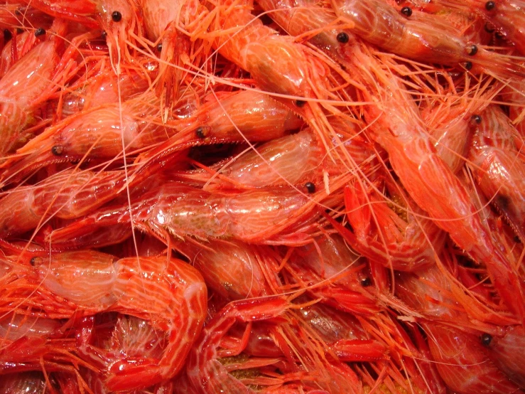 a bunch of shrimp sitting on top of each other
