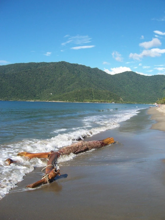 the water is squirting the sand away from the shore