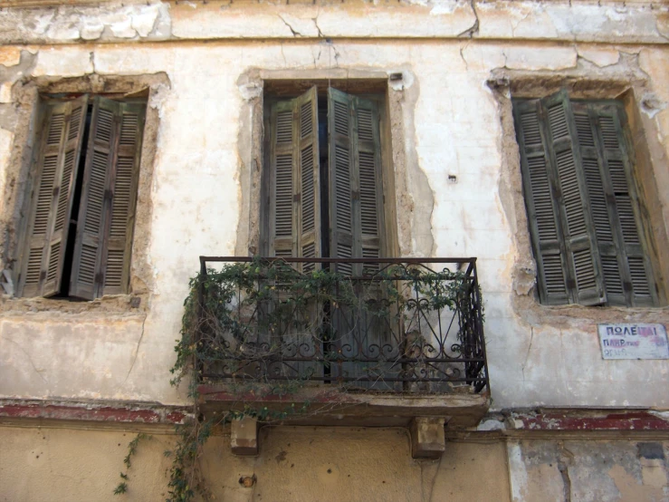 balcony with plant life growing on wall next to window