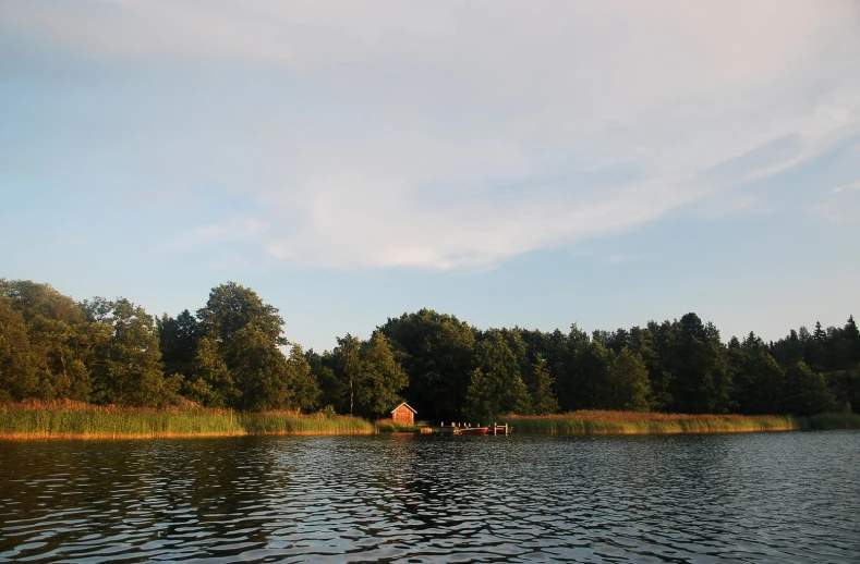 a house in a lake next to many trees