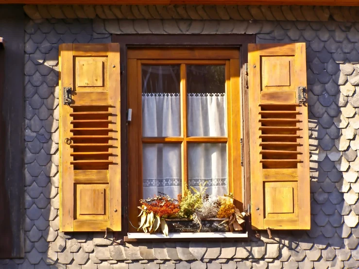 some plants outside a window and a curtain in the window