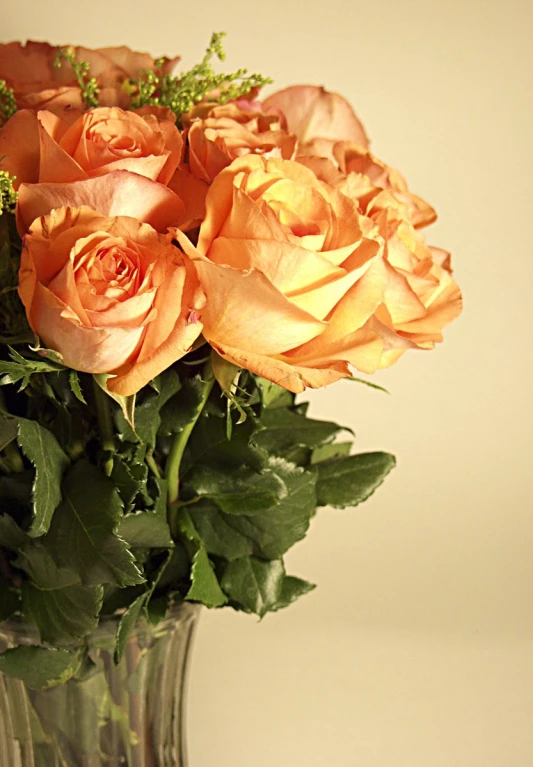 there is a bouquet of orange roses in a vase