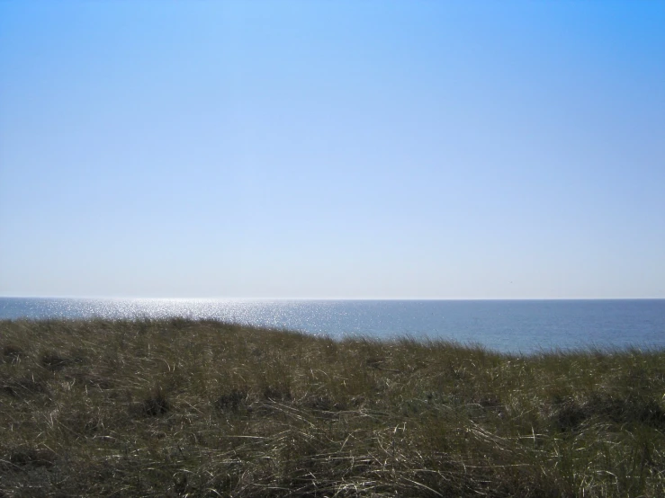 there is a large body of water next to some grass