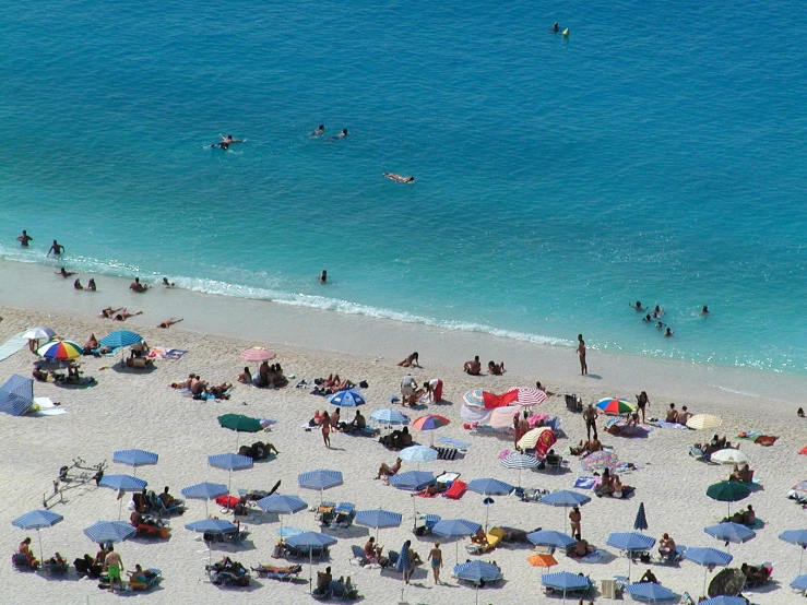 people gathered on the beach on a sunny day