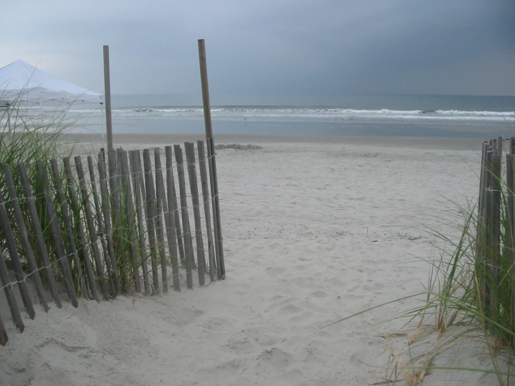 a beach that has some wooden poles sticking out of it