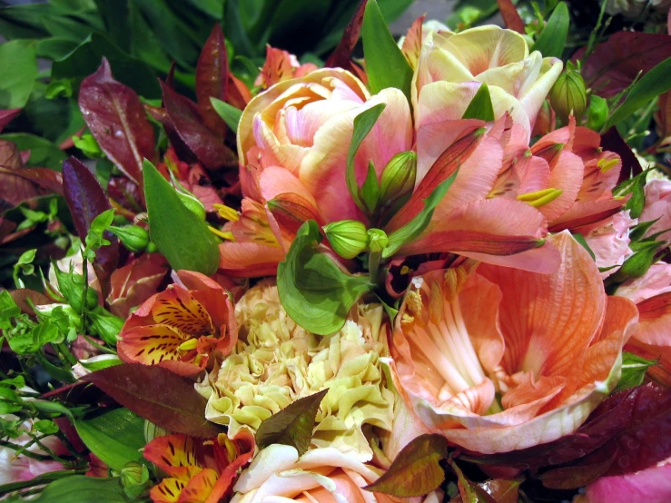 pink and orange flowers in a bouquet on the ground
