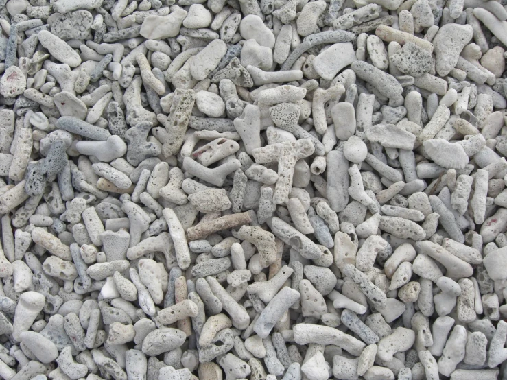 gray rocks are grouped together to look like pebbles