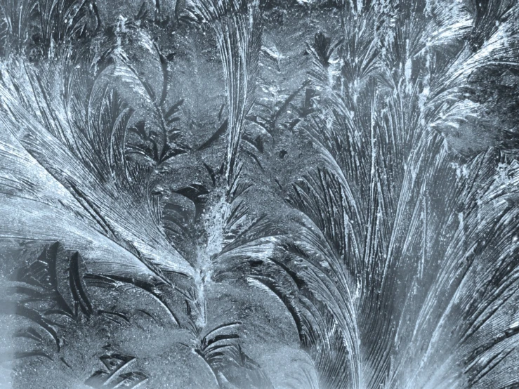 a close up view of ice crystals with trees in the background