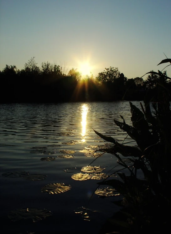 a sunset over the water with trees in the background
