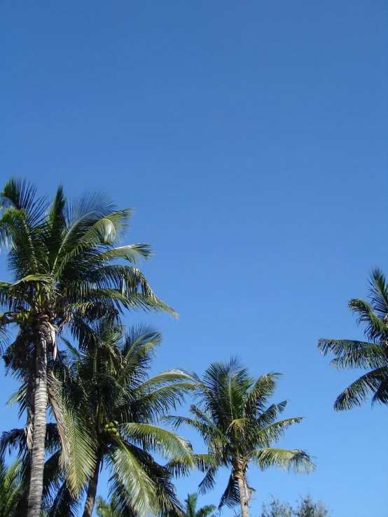 the blue sky has clouds and trees near by