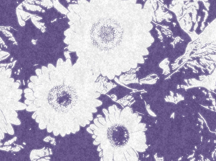 there is a purple background with flowers in it