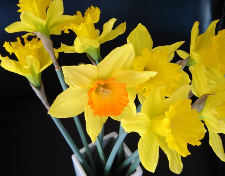 a close up of flowers in a vase on a table