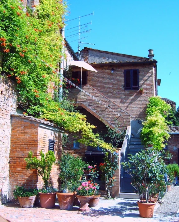 this is an outdoor garden near a home