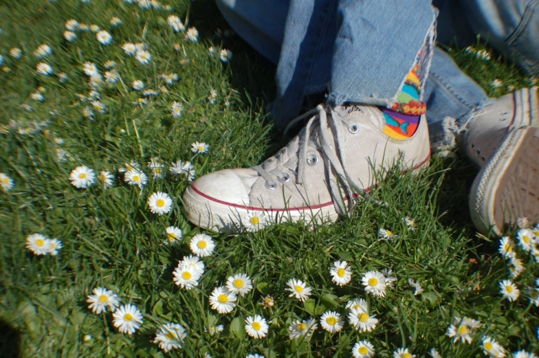 a pair of canvas shoes sitting in a flowered field