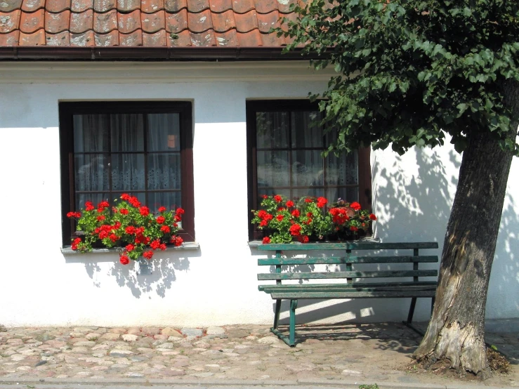 a green bench sitting in front of two windows