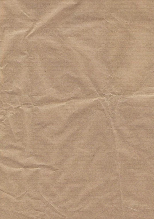 a piece of wrinkled paper on a white background