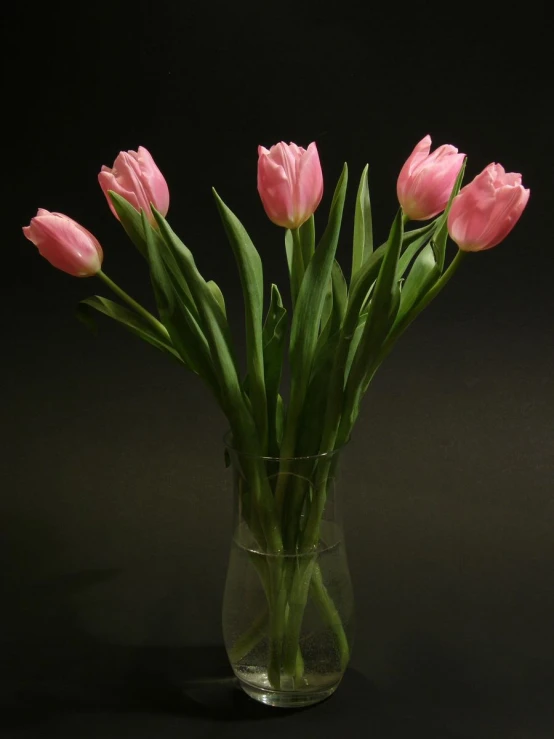 a vase of pink tulips against a dark background