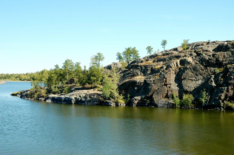 some animals on a rock and water and trees