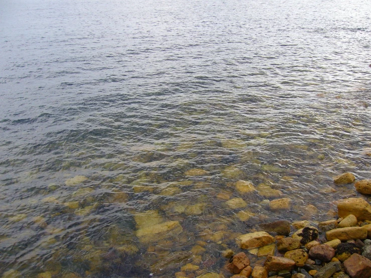 a body of water surrounded by rocks and grass