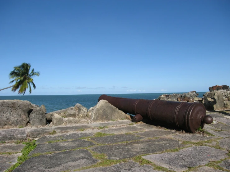 an old cannon with a view of the ocean behind it