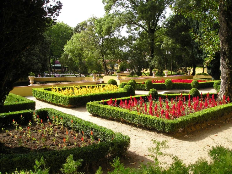 some very pretty flower garden plants and trees