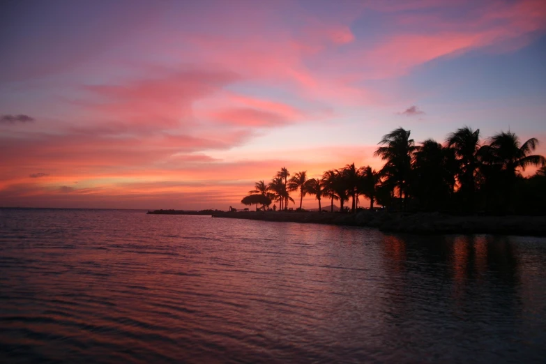 a palm tree lined beach under a pink sunset