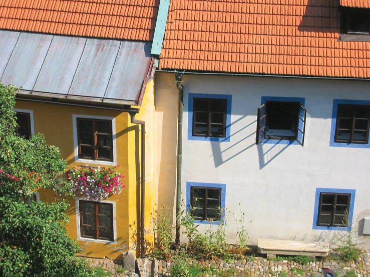 three windows in the walls of a building that has some plants and flowers growing from them