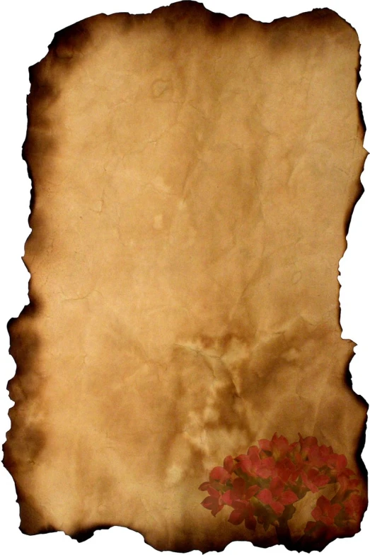 a piece of paper that has a bunch of red flowers on it