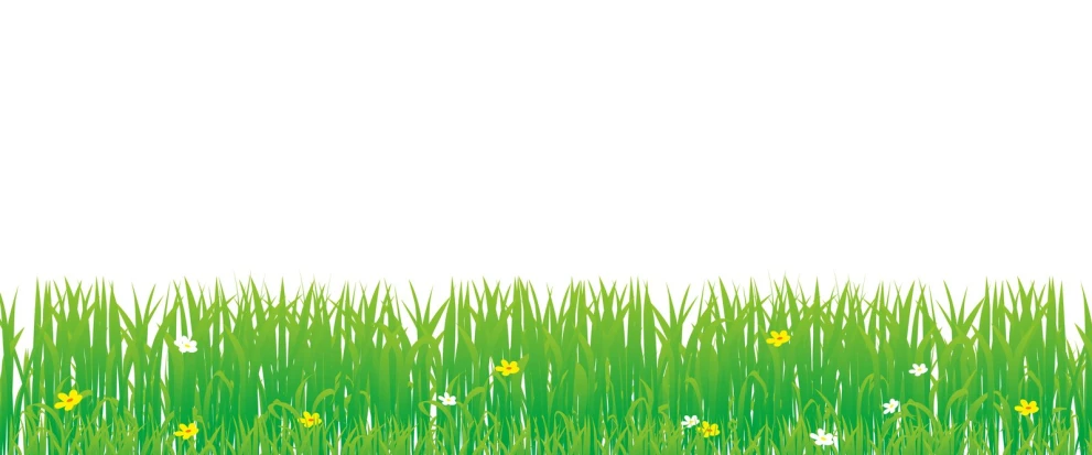 grass and flowers against a white background