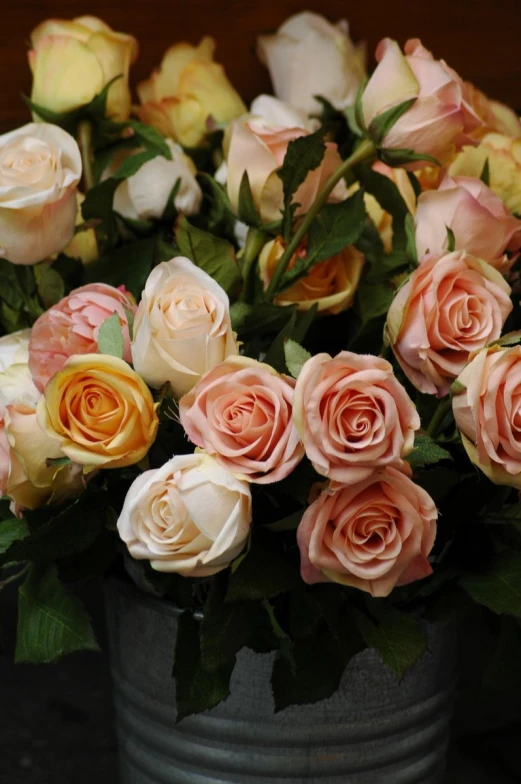 many pink and white roses are in a gray bucket