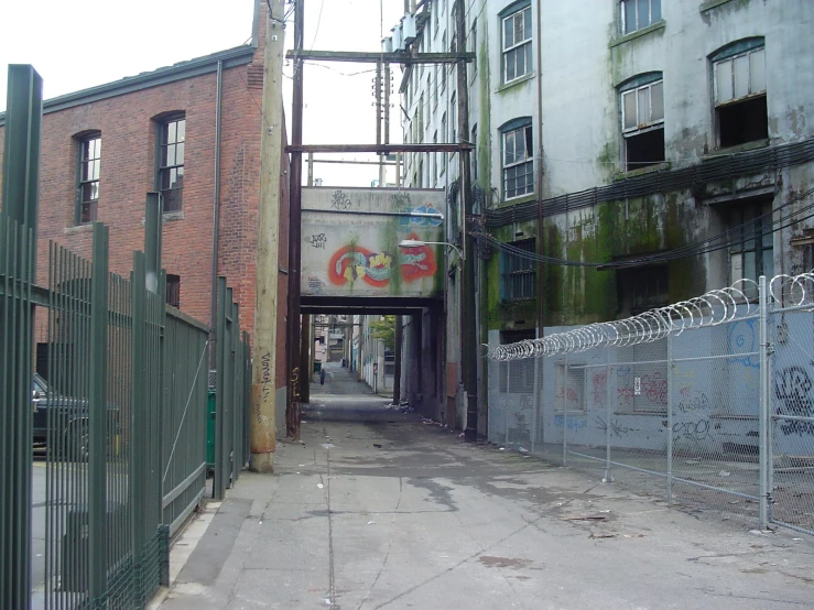 a narrow, overgrown street with a graffitied sign under construction